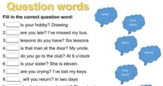 WH- Question Words 2