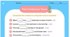 Past Continuous Tense 3