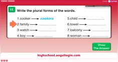 Singular & Plural Words
